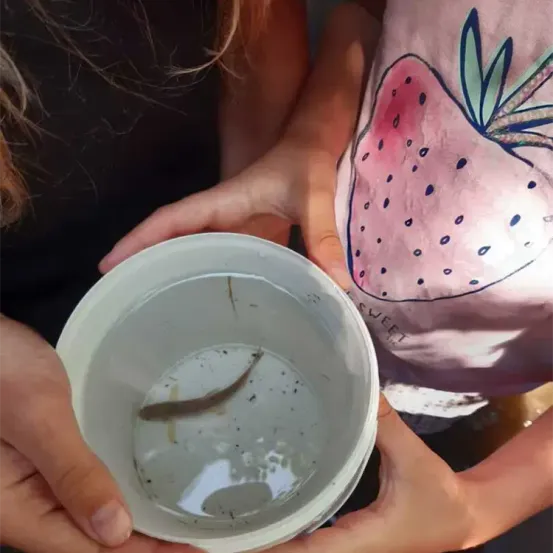 Zwei Menschen halten einen kleinen Plastikbecher mit Wasser, in dem sich ein Fisch befindet. Die Person auf der linken Seite trägt ein schwarzes Oberteil. Die Person auf der rechten Seite trägt ein rosa T-Shirt mit Erdbeer-Design.