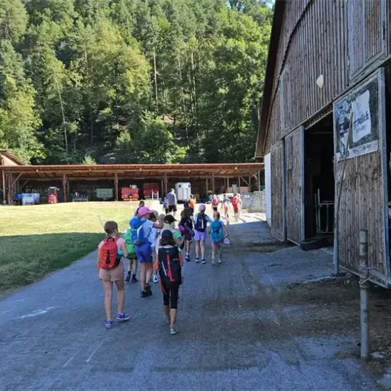 Eine Gruppe von Kindern geht einen Pfad entlang, vorbei an einem Stall mit einer Kuh darin, in einem Grasbereich mit Bäumen und einem Gebäude im Hintergrund.
