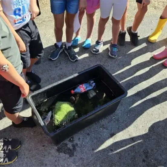 Eine Gruppe von Kindern und Erwachsenen versammelt sich um einen schwarzen Behälter mit Wasser, Steinen und einem grünen Moosball. Sie sind in verschiedenen Freizeitkleidung und Schuhen gekleidet.