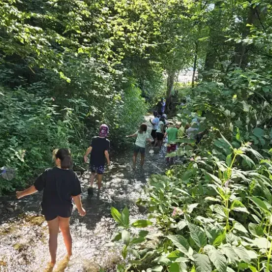 Kinder in Freizeitkleidung gehen durch einen Bach im Wald, eines hält eine Netz.