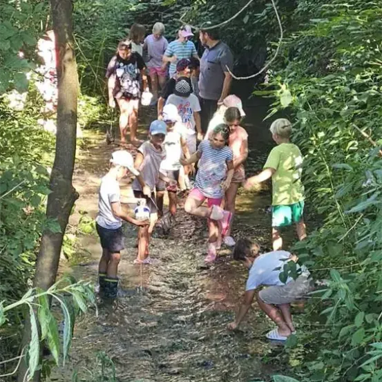 Eine Gruppe von Kindern und Erwachsenen wandert durch einen Waldpfad und navigiert einen kleinen Bach. Einige tragen Hüte und Stiefel, andere haben Flaschen bei sich. Bäume und Pflanzen umgeben den Pfad.