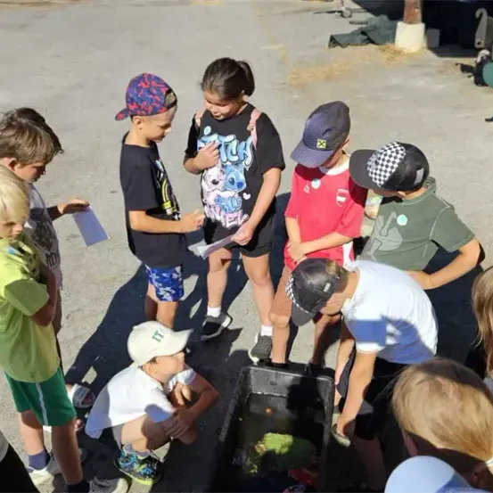 Eine Gruppe von Kindern und einigen Erwachsenen versammelt sich um einen Behälter, möglicherweise für eine Aktivität. Sie schauen auf etwas in dem Behälter. Die Kinder tragen Mützen, und einer von ihnen hält ein Stück Papier.