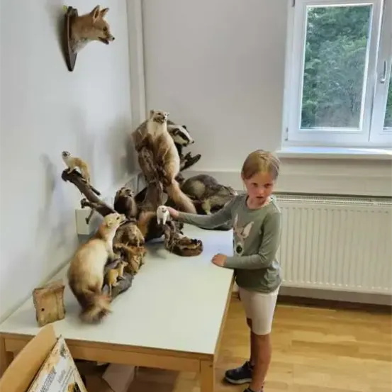 Ein junges Mädchen steht vor einem Tisch mit verschiedenen ausgestopften Tieren. Sie hält ein Plüschtier. Der Raum hat weiße Wände, einen Holzboden und ein Fenster mit Blick auf Bäume.