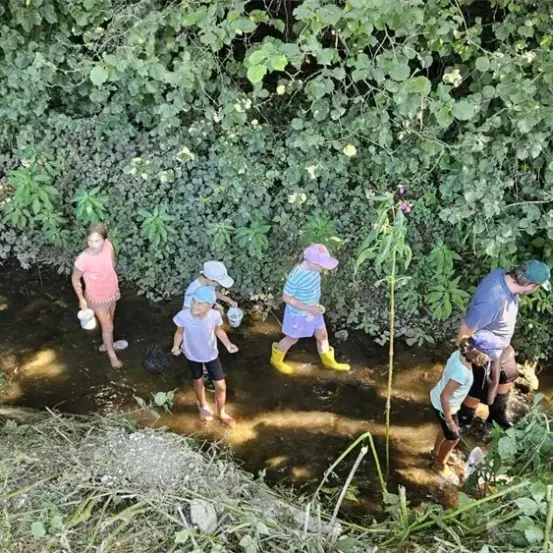 Eine Gruppe von Kindern und Erwachsenen geht durch einen Bach mit grüner Vegetation auf beiden Seiten. Sie tragen Hüte, Stiefel und einige halten Eimer.