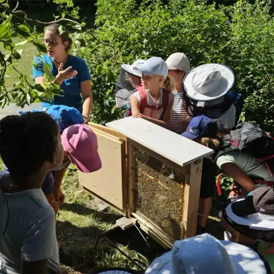 Eine Gruppe von Kindern und Erwachsenen untersucht einen Bienenstock, einige tragen Hüte und Schutzausrüstung. Die Szene spielt sich im Freien ab, umgeben von Grün.