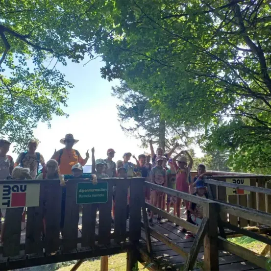 Eine Gruppe von Menschen, wahrscheinlich Pfadfinder, steht auf einer Holzplattform. Einige heben ihre Hände, und es gibt Schilder und Bäume im Hintergrund.