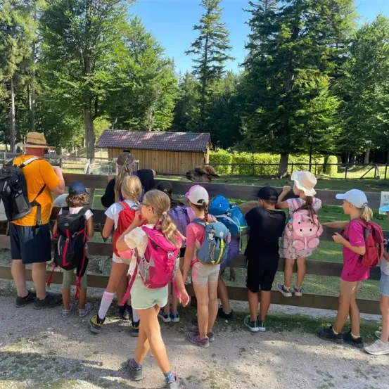Eine Gruppe von Kindern und Erwachsenen steht hinter einem Zaun und beobachtet Tiere in einem Gehege mit einem Holzhaus im Hintergrund.