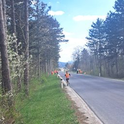 Ein Läufer in einem orangefarbenen Vest joggt auf einer ruhigen Straße, mehrere Personen in orangefarbenen Westen sind an der Seite. Die Straße ist von Bäumen gesäumt und Berge sind in der Ferne zu sehen.