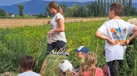 Eine Gruppe von Kindern und Erwachsenen steht in einem Feld mit hohem Gras und Pflanzen, möglicherweise lernen sie etwas über die Natur. Eine Frau in der Mitte hält ein Buch und scheint etwas zu erklären. Im Hintergrund ist ein Auto geparkt, das in der Nähe eines Zauns steht.