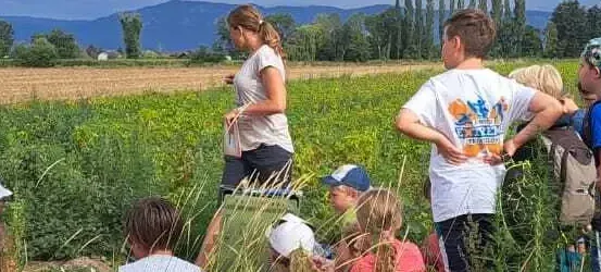 Eine Gruppe von Kindern und Erwachsenen steht in einem Feld mit hohem Gras und Pflanzen, möglicherweise lernen sie etwas über die Natur. Eine Frau in der Mitte hält ein Buch und scheint etwas zu erklären. Im Hintergrund ist ein Auto geparkt, das in der Nähe eines Zauns steht.