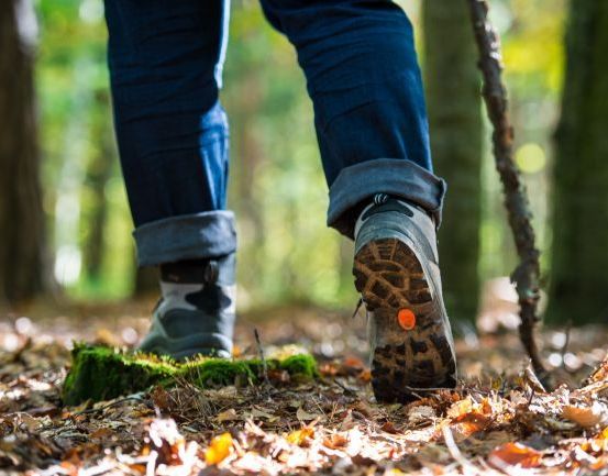 Eine Person in Wanderschuhen geht auf einem moosbedeckten Felsen in einem Wald mit Laub.