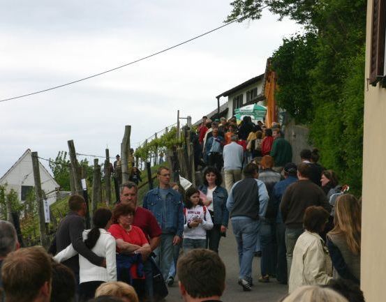 Eine Menschenmenge läuft einen steilen Pfad in einem Weinberg, einige tragen Hüte und Turnschuhe. Ein Gebäude befindet sich rechts, mit einem grünen Zelt in der Nähe.