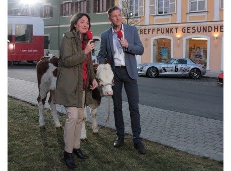 Zwei Personen stehen neben einer Kuh auf einer Grasfläche und halten Mikrofone in der Hand, vor einem Gebäude namens 'Treffpunkt Gesundheit'.
