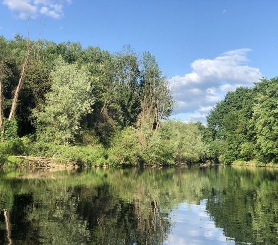 Eine friedliche Flusslandschaft mit üppigen grünen Bäumen und Büschen entlang der Ufer, die sich im ruhigen Wasser unter einem klaren blauen Himmel mit einigen Wolken spiegeln.