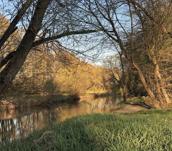 Ein ruhiger Fluss mit kahlen Bäumen auf beiden Seiten, der blauen Himmel und Sonnenlicht reflektiert.