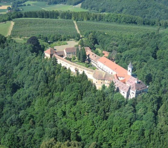 Ein Luftbild eines Schlosses, umgeben von einem dichten Wald, mit einem roten Dach und einem Turm.