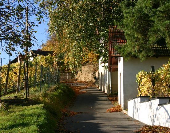 Ein schmaler Weg gesäumt von Bäumen und Häusern. Der Weg ist von Grün umgeben und die Häuser haben weiße Wände und braune Dächer.