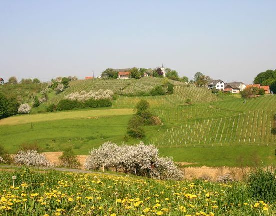 Eine malerische Landschaft mit grünen Feldern, blühenden Bäumen und einem kleinen Dorf in der Ferne unter einem klaren blauen Himmel.