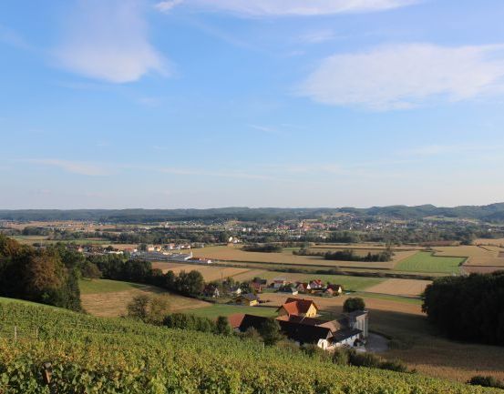 Luftaufnahme einer ländlichen Landschaft mit Weinbergen, Häusern und einem klaren blauen Himmel mit Wolken.