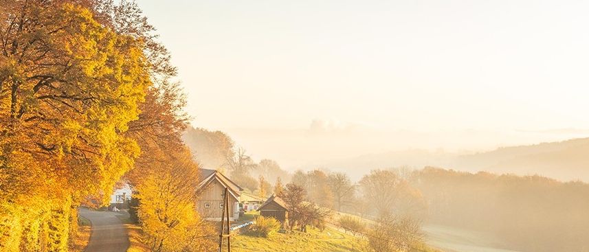 Bild enthält, Nature, Outdoors, Scenery, Landscape, Autumn, Panoramic, Plant, Tree, Road