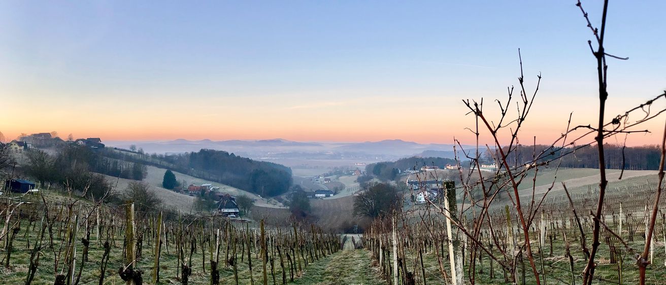 Image contains, Nature, Outdoors, Scenery, Landscape, Sky, Countryside, Tree, Rural, Grass, Panoramic