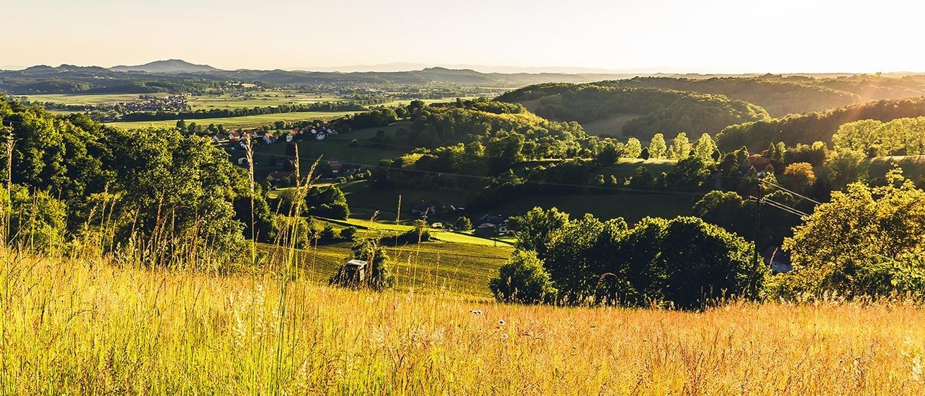 Ein weites grünes Feld mit hohem Gras und Bäumen. In der Ferne ist ein kleines Dorf von Bergen umgeben.