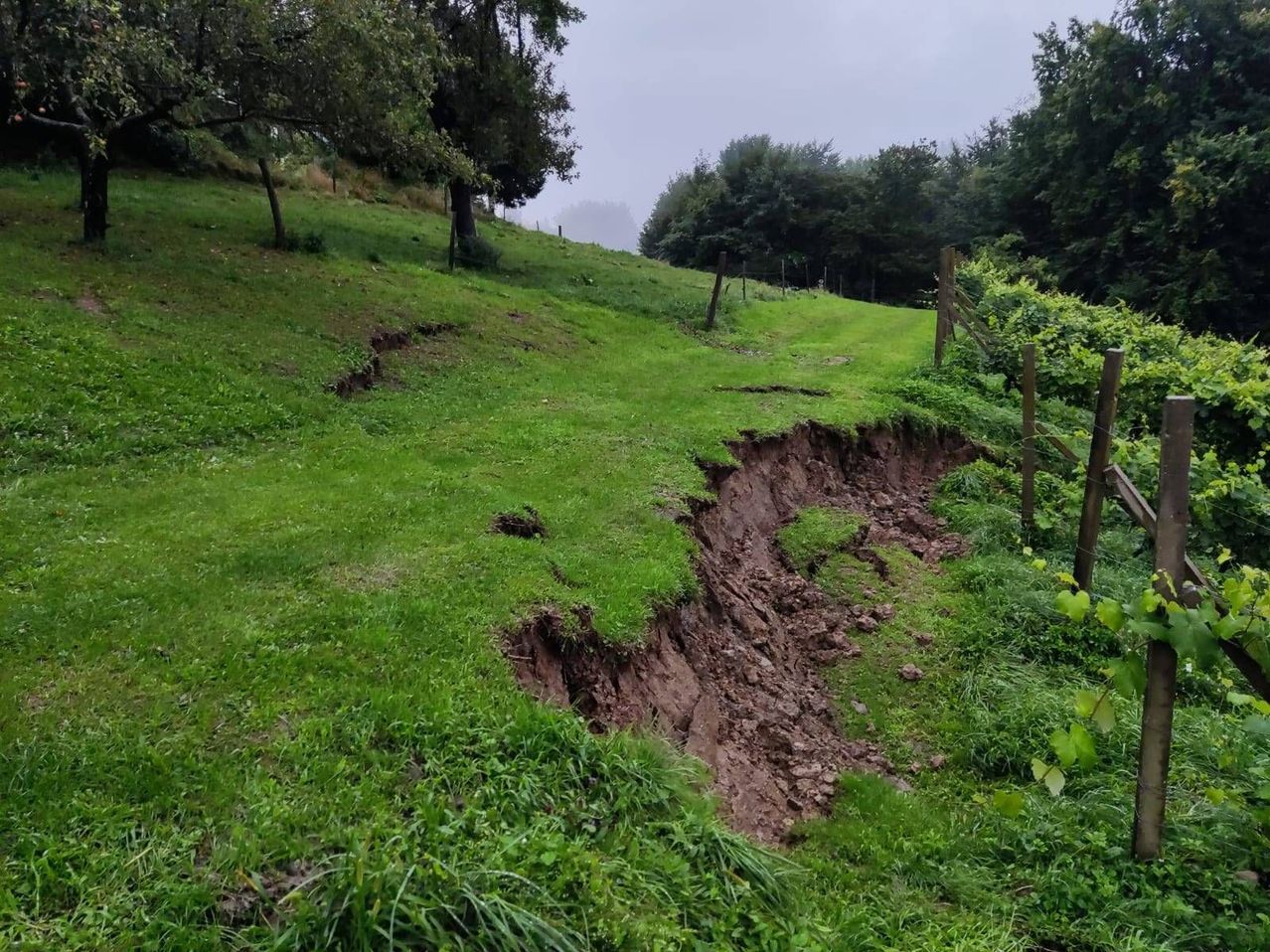 v1_migrated_image_25575132