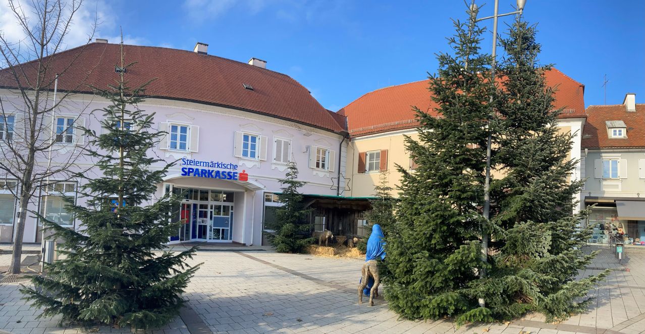 Bild enthält, Plant, Tree, Fir, Pine, Conifer, Spruce, Person, City, Architecture, Building