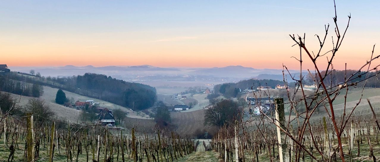 Eine szenische Luftaufnahme eines Weinbergs bei Sonnenuntergang. Berge sind in der Ferne sichtbar, und einige Häuser sind im Tal verstreut. Der Himmel ist mit warmen Farben bemalt, und Nebel bedeckt die unteren Teile der Landschaft.