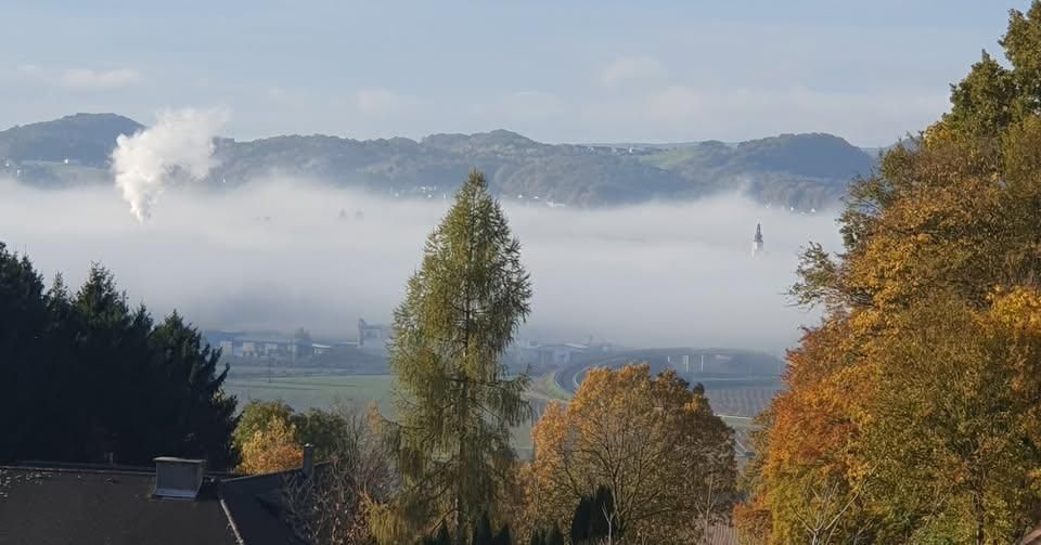 Eine neblige Landschaft mit einer Stadt und Bergen in der Ferne, von einem Dach mit Bäumen und Gebäuden im Vordergrund betrachtet.