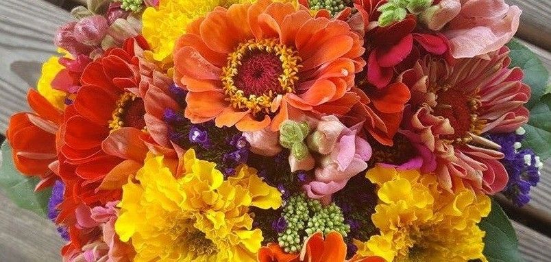 Ein farbenfroher Strauß bunter Zinnien mit orangen, rosa, gelben und lila Blüten. Die Mitte besteht aus einer Mischung aus grünen Blättern und Stielen. Die Blumen sind frisch und ordentlich angeordnet.