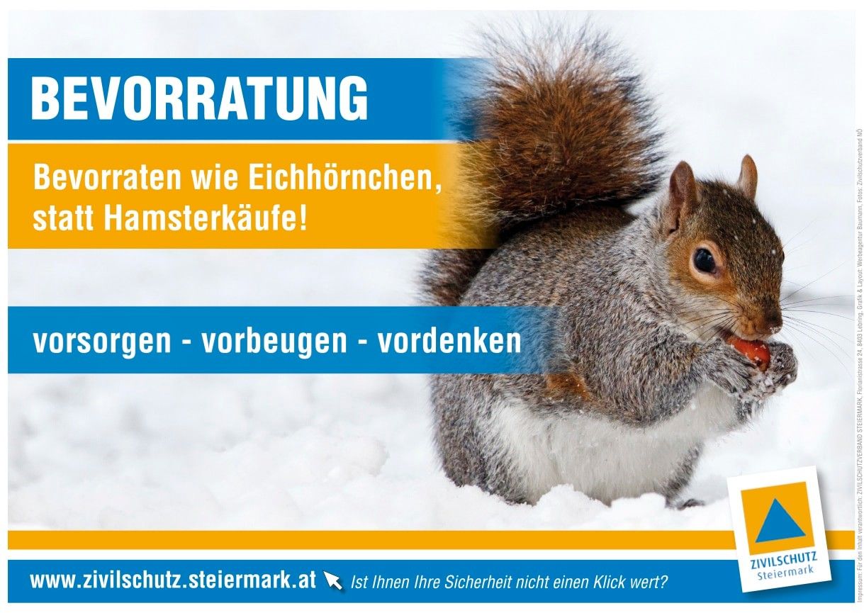 Ein Poster mit einem Eichhörnchen, das in Schnee eine Nuss hält. Der Titel 'Rat' steht in Weiß. Es rät, Roden wie Eichhörnchen zu vermeiden, um Schäden vorzubeugen. Darunter wird Prävention und Schutz vorgeschlagen. Es gibt eine Website-Adresse und eine Frage nach dem Wert der Sicherheit.