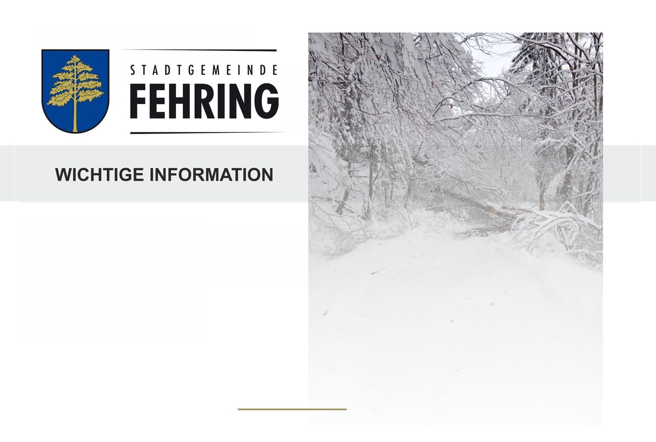 Eine Werbung für die Stadt Fehring zeigt eine verschneite Landschaft mit schneebedeckten Bäumen und einem umgestürzten Baumstamm. Der Titel lautet 'Tägliche Informationen'.