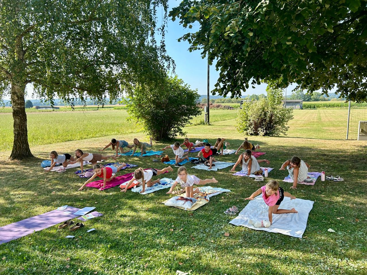 A group of children are doing yoga on the grass under a tree in a field.