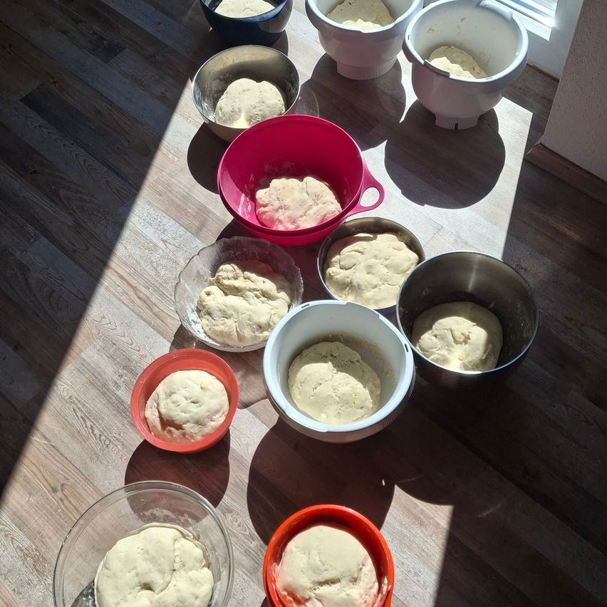 Multiple bowls of dough on a wooden table, with sunlight casting shadows. The dough is in various stages of rising.