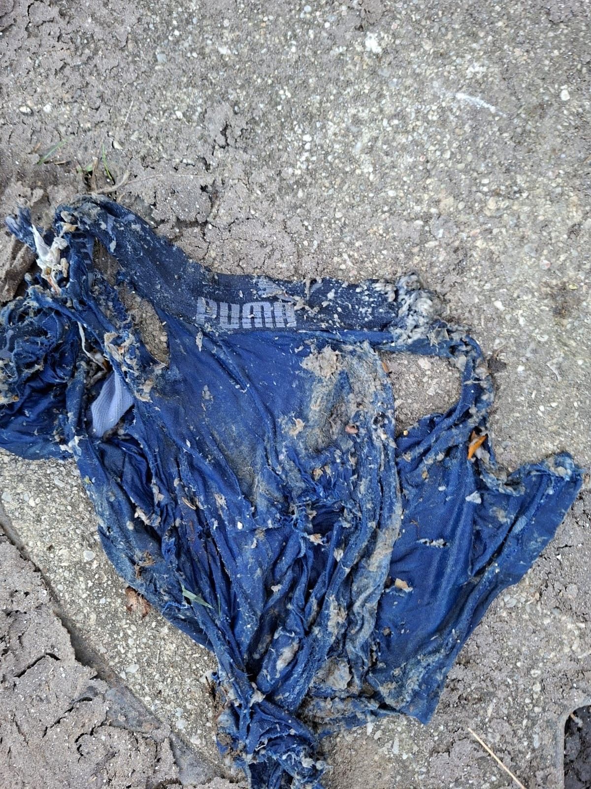 A torn blue garment with the word Puma on it lies on the ground. The fabric is tattered and dirty.