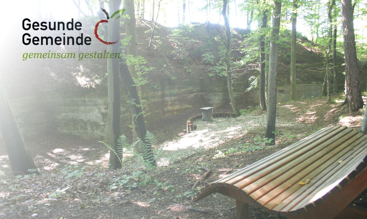 Eine Waldszene mit einer Holzbank in der Nähe einer Steinmauer und üppiger Grünfläche. Sonnenlicht filtert durch die Bäume.