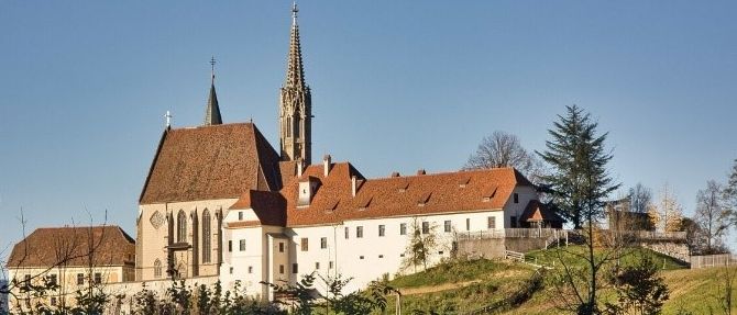 Ein großes Schloss steht auf einem Hügel mit braunen Dächern und einem Turm. Bäume und Pflanzen umgeben das Gebäude.