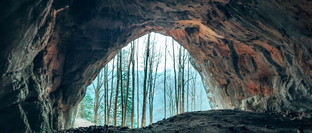 Der Eingang einer Höhle zeigt einen Wald mit laublosen Bäumen. Der Himmel ist klar, und Berge sind schwach im Hintergrund sichtbar.
