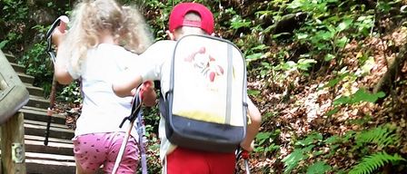 Zwei Kinder wandern einen hölzernen Treppenaufgang in einem Wald hinauf, eines mit einem Rucksack und das andere Hand in Hand.