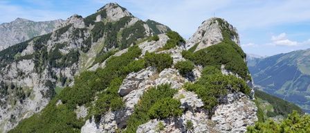 Ein hochgelegener Blick auf raue Berge mit felsigen Klippen und üppigem grünem Bewuchs unter einem klaren blauen Himmel.