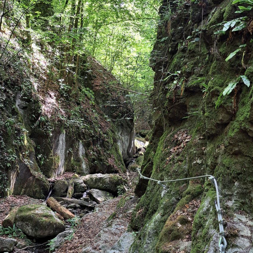Ein schmaler Pfad durch einen üppigen Wald mit moosbedeckten Felsen und einem Seil zur Unterstützung.