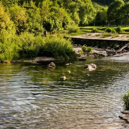 Ein Fluss mit Felsen und Grünpflanzen auf beiden Seiten. Der Fluss hat Wellen auf seiner Oberfläche. Es gibt Bäume an den Seiten des Flusses.