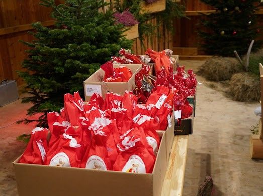 Mehrere Kartons mit roten Geschenktüten stehen auf einem Holztisch, mit Weihnachtsbäumen im Hintergrund. Die Geschenktüten haben weiße Schleifen.