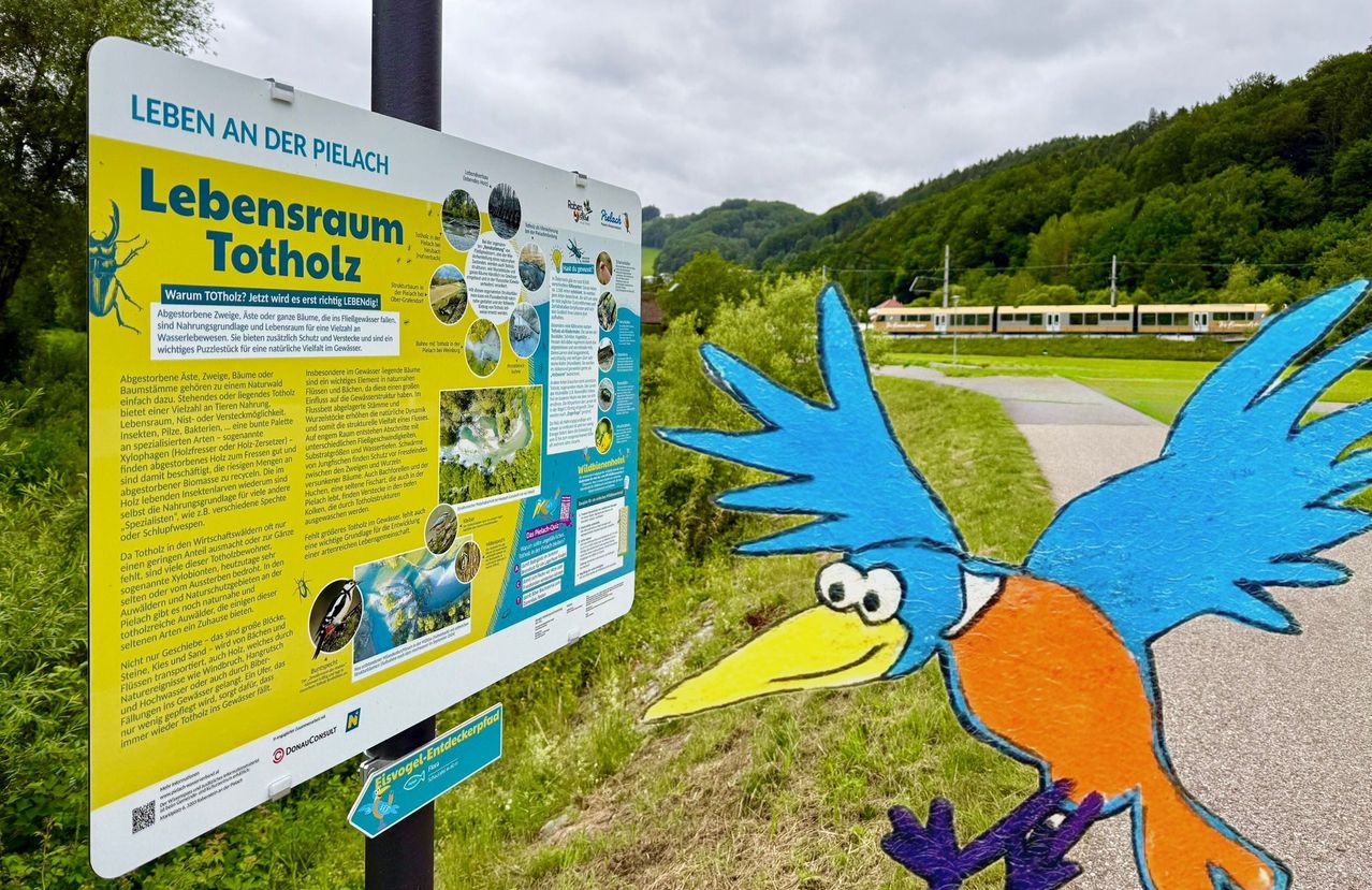 Ein Schild mit einer Vogelillustration auf einem Grasbereich. Das Schild hat einen gelben und weißen Hintergrund mit Text und Bildern. Der Vogel ist auf dem Boden gemalt. Es gibt einen Zug auf der Straße mit einem Berg in der Ferne.