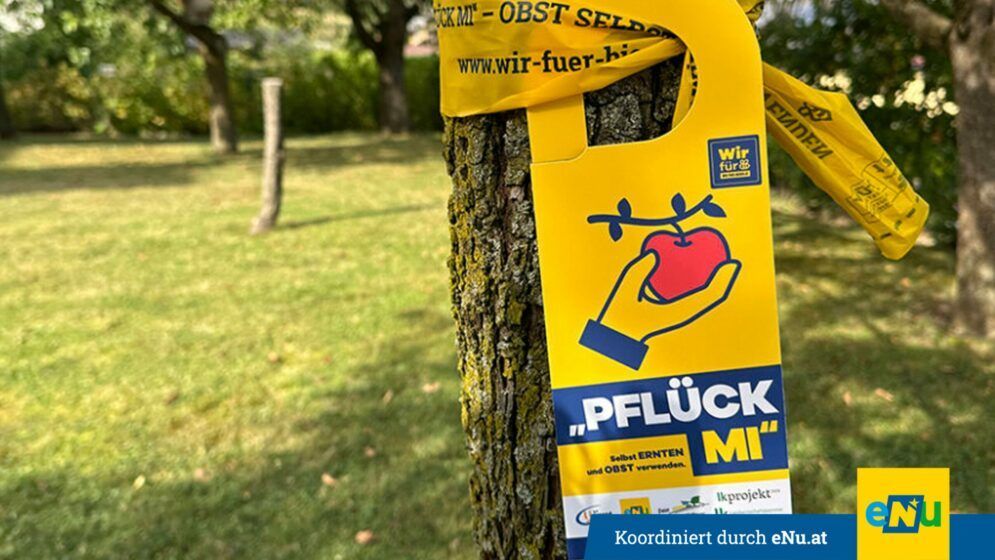 Ein gelbes Schild mit den Worten 'Pfluck Mich' und einer Apfelillustration ist an einem Baumstamm befestigt. Das Schild ist Teil einer Initiative zur Förderung des Obstpflückens von Bäumen.