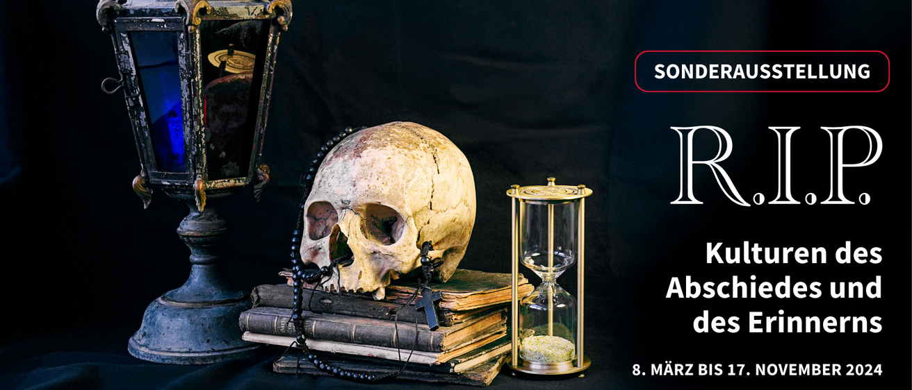 Bild enthält, Animal, Mammal, Monkey, Wildlife, Trophy