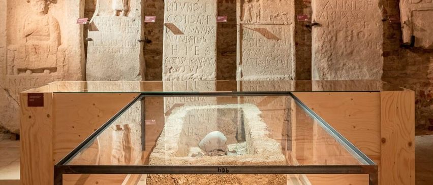 v1_migrated_image_26385472