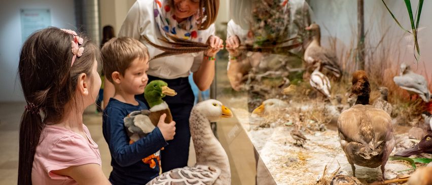 Bild enthält, Adult, Female, Person, Woman, Animal, Bird, Face, Head, Indoors