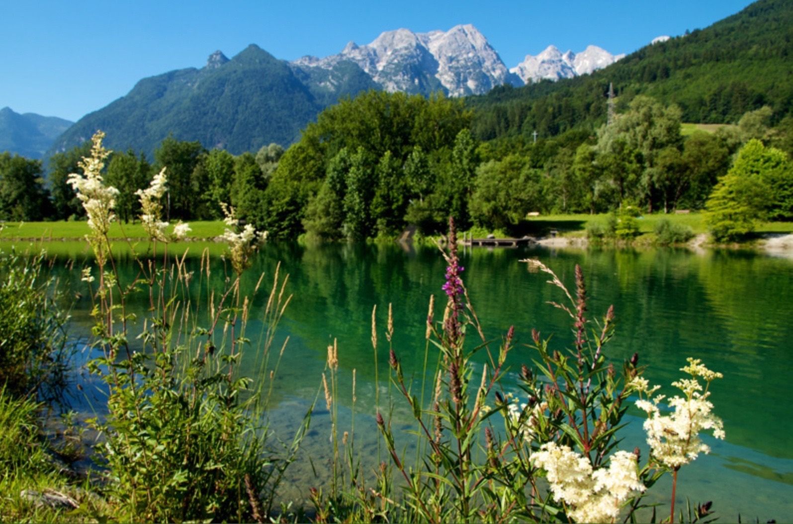 Nature, Outdoors, Scenery, Landscape, Pond, Lake, Grass, Vegetation, Green, Tree